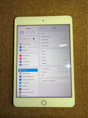 ipad mini 4