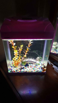 High Quality Aquarium