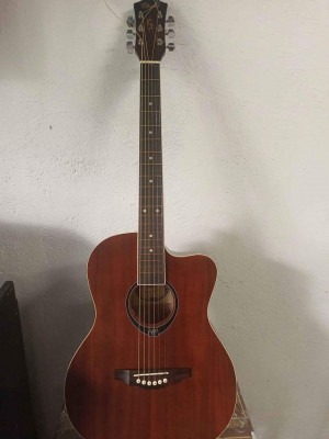 Acoustic Guitar Chard With fishman pickup