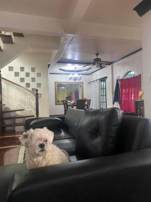 house and lot for sale