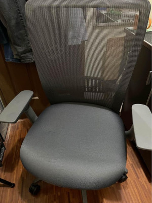 Ergonomic Euro Office Chair