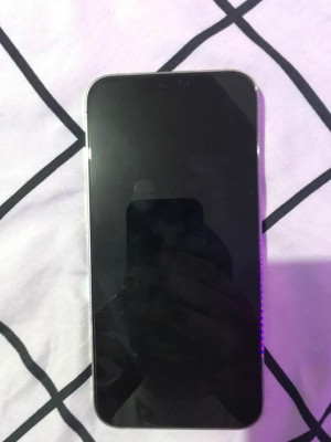 IPHONE 12 PRO MAX ( SILVER )