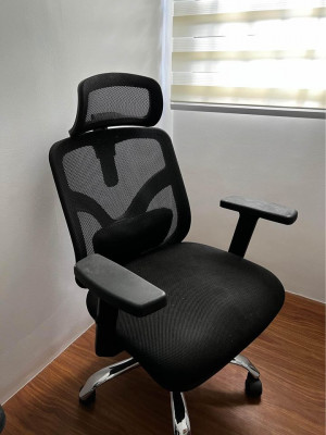 Sihoo M56 High Back Mesh Chair