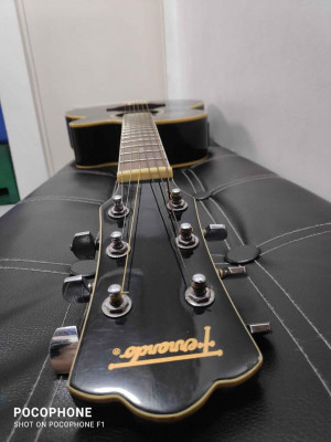 Fernando acoustic guitar