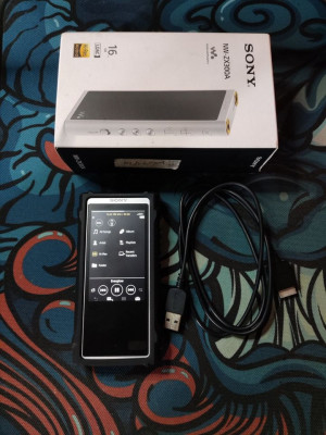 Sony Walkman ZX300A (Silver)
