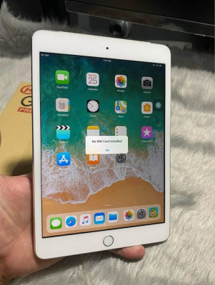 ipad mini 4 with sim