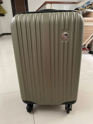 Cabin sized luggage