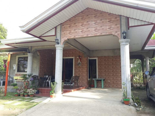 HOUSE & LOT WITH PIGGERY FOR SALE‼️