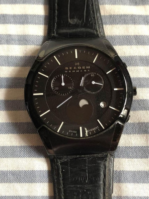 Skagen Mens Watch