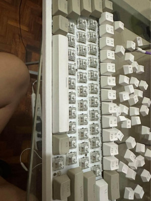 Rakk Pluma Mechanical Keyboard