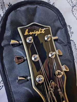 For Sale Electric Guitar Knight Les Paul