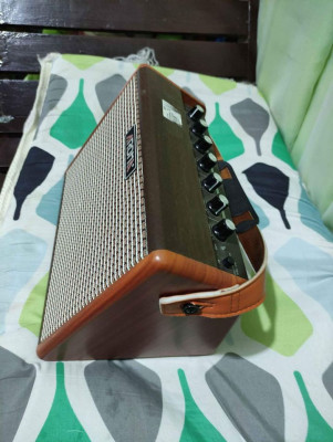 Aroma portable dual amplifier for acoustic guitar and vocals