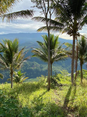 WOW NA WOW SA MADAGUING CLAVERIA