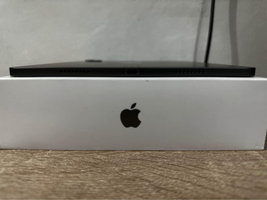 iPad Pro M1 Chip 11 inch 256GB Space Gray Wifi