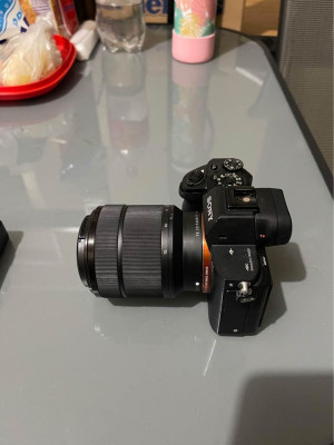 Sony a7sii with FE 28-70mm