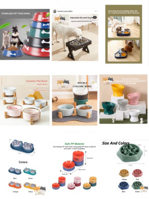 Pet Accessories and Pet Supplies