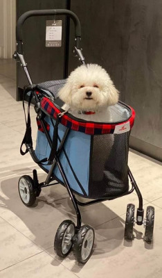 Dog Cat stroller for small size pets