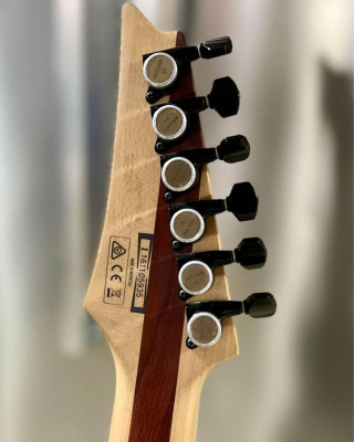 Ibanez Iron Label RGIR30BFE - Black Flat (EMG)