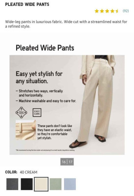 Uniqlo Pleated Wide Pants