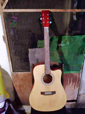Guitar