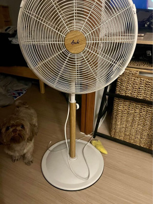 Asahi Wood Electric Fan