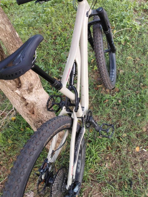 FS: 2020 Specialized Stumpjumper