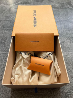 Louis vuitton sneakers