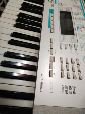 Casio LK-228 Digital Piano/Keyboard