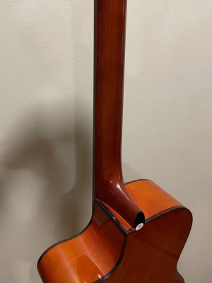 Fernando CAG-200CNA Guitar