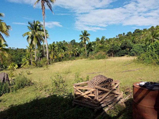 7 Hectare Farm Land