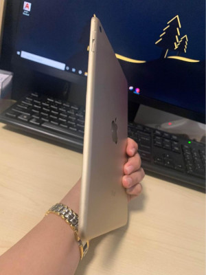 IPad Mini 4 Gold