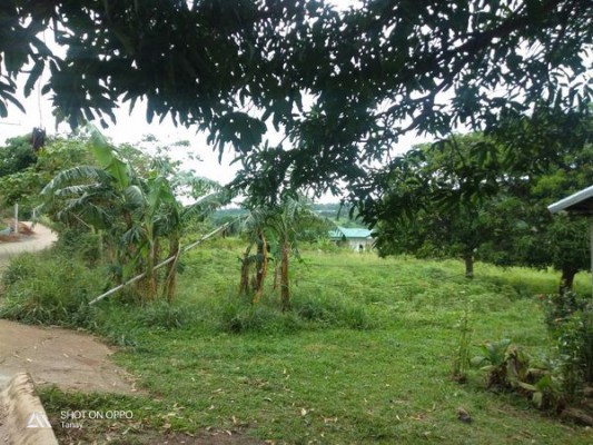 Lot - Tanay, Rizal