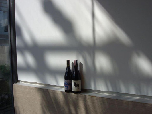 RARE EPSON L-300 DIGICAM