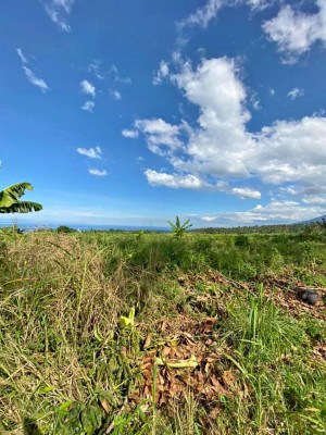 For Sale or Barter Lot