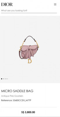 Dior Mini Saddle Bag