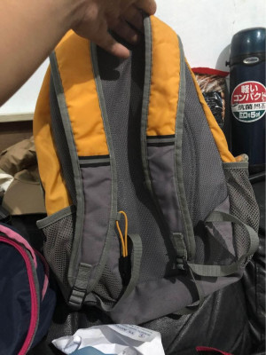 Coleman back pack