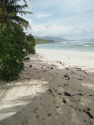 WHITE SAND BEACH MATI