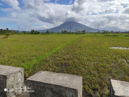 Real estate agricultural land