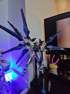 Mgex strike freedom gundam