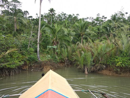 Farmlot 1.1 hectares