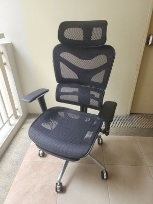 Ergonomic Office Chair