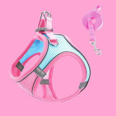 Pet Leash And Harness