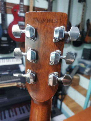 Morris MD 506 acoustic guitar