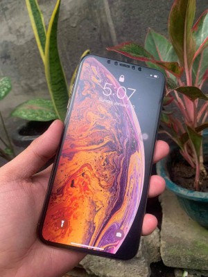 IPHONE XS MAX (GOLD)