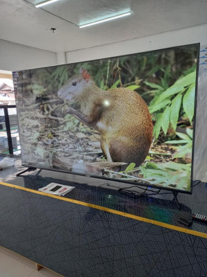 SMART TV ,ANDROID,AND LED WITH VOICE CONTROL