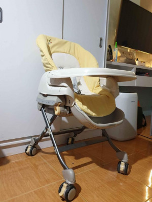 Combi Auto Swing Multi-function Parenting Station