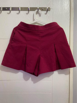 Uniqlo Pleated Mini Skirt
