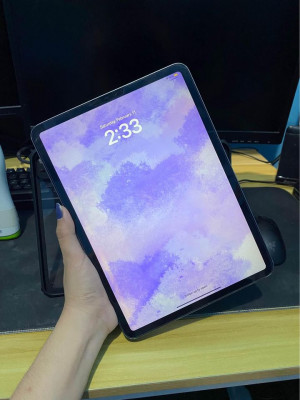 iPad Pro 11 inch WIFI 64gb