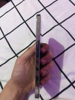 IPHONE 12 PRO MAX ( SILVER )