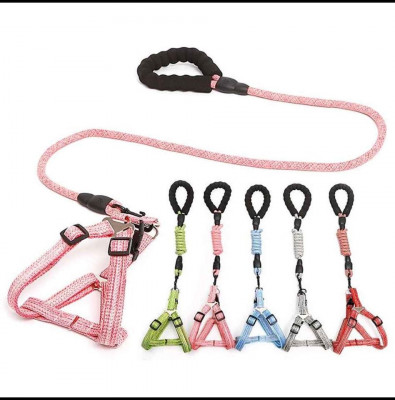 Heavy Duty Pet Leash and Harness